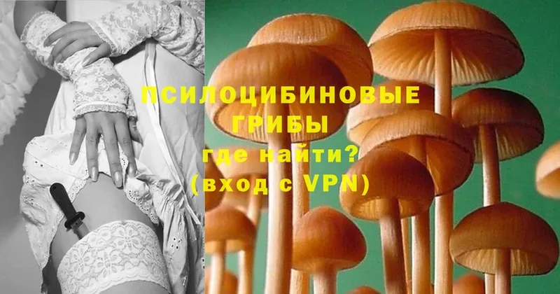 Галлюциногенные грибы Magic Shrooms  blacksprut ссылки  Бокситогорск 